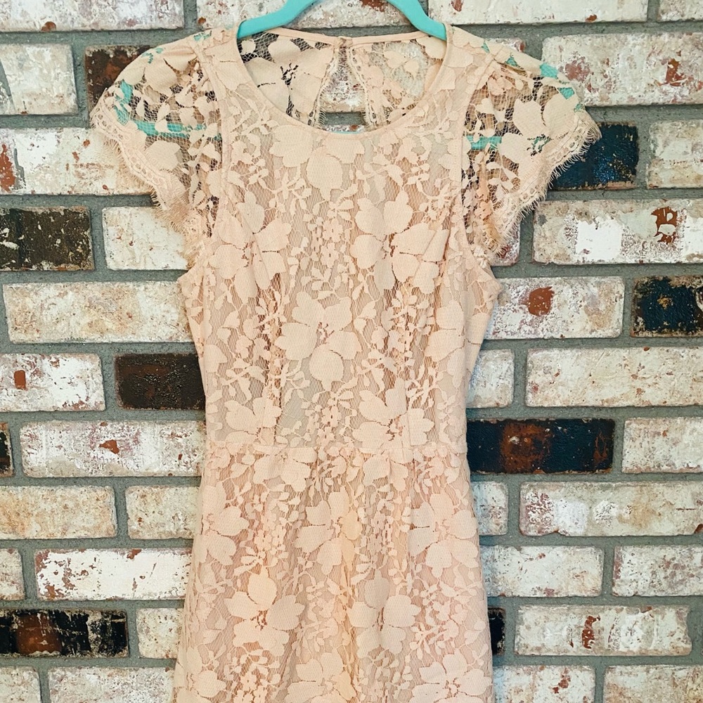 BCBGMAXAZRIA Light Pink Lace Dress